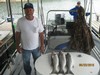 (08/23/2016) - Nice Striped Bass